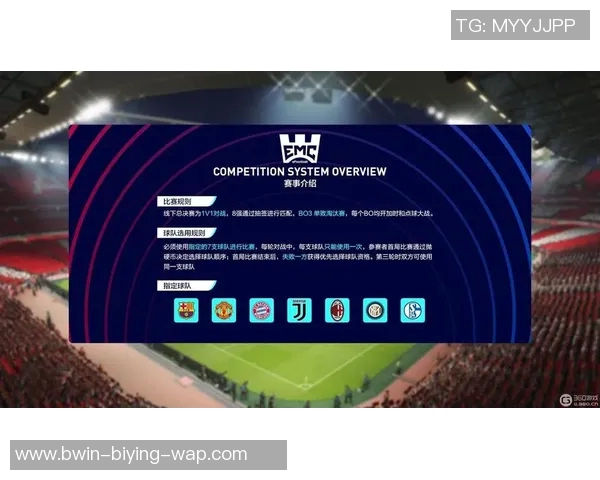 足球巨星巅峰荣耀全面解析从绿茵传奇到世界最高舞台